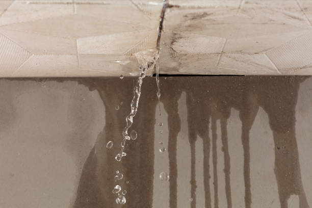 Professional Flood Damage Cleanup technician working in Bradley, IL